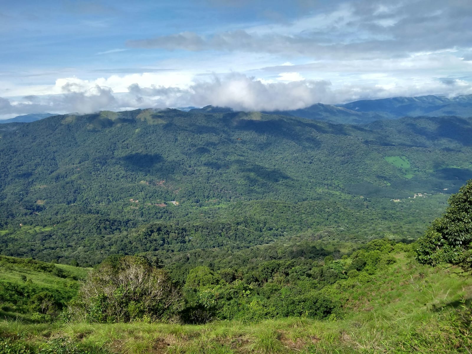 Coorg, Karnataka, India