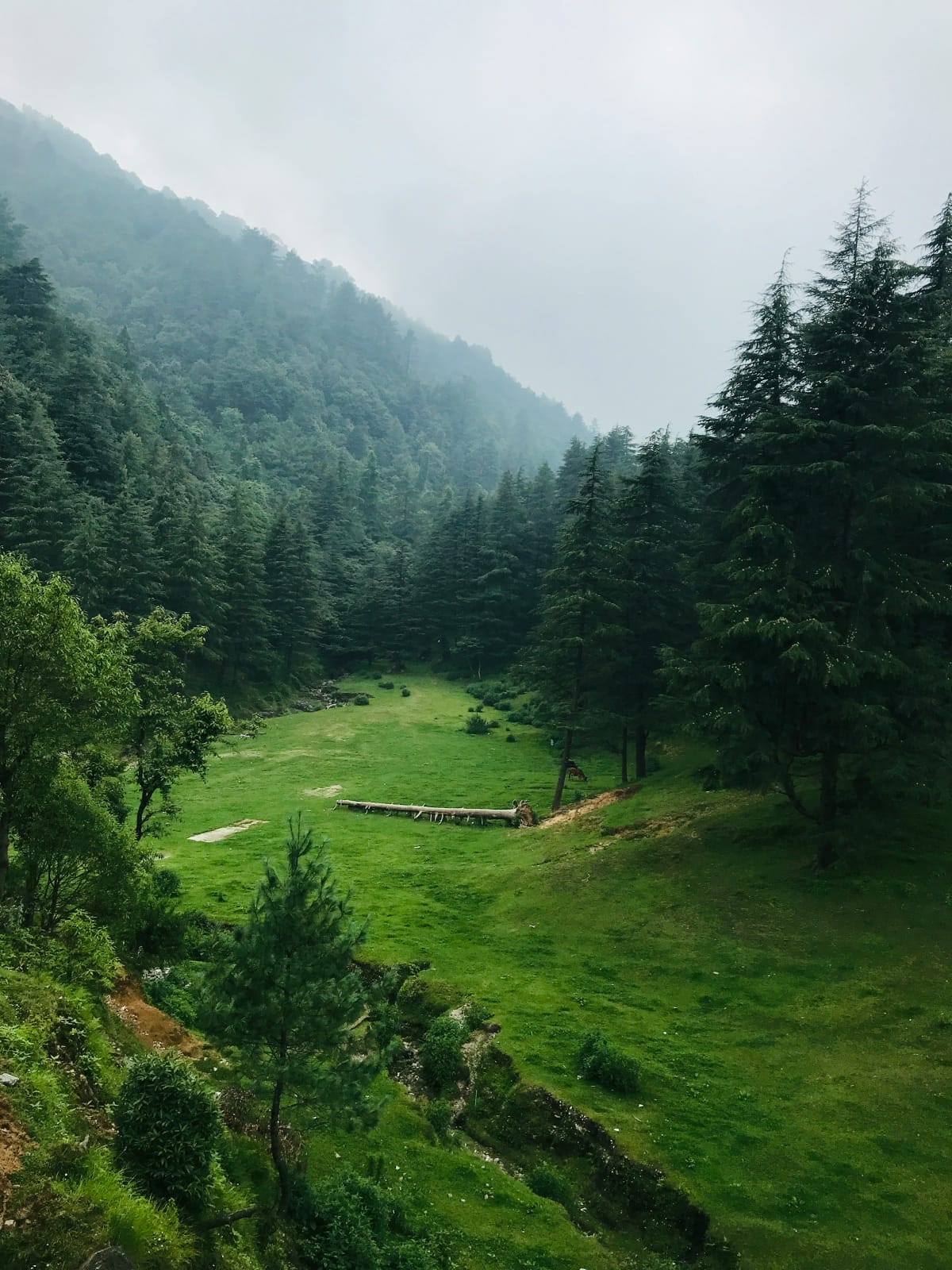 Mussoorie, Uttar Pradesh, India