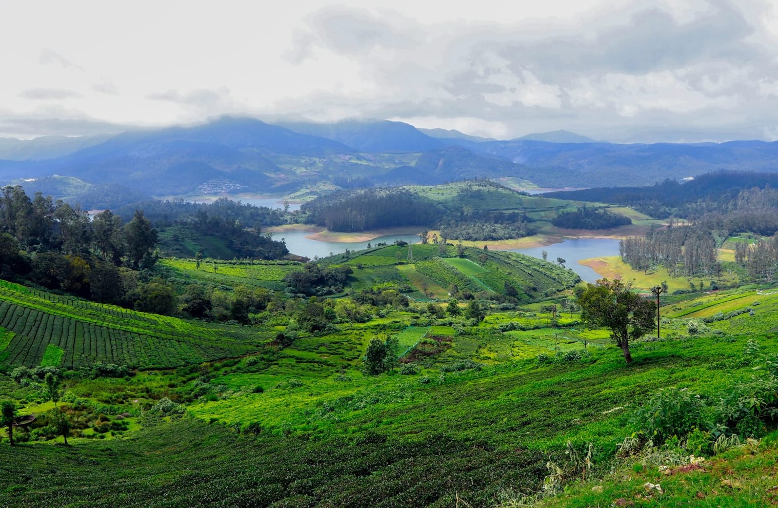 Ooty, Tamil Nadu, India