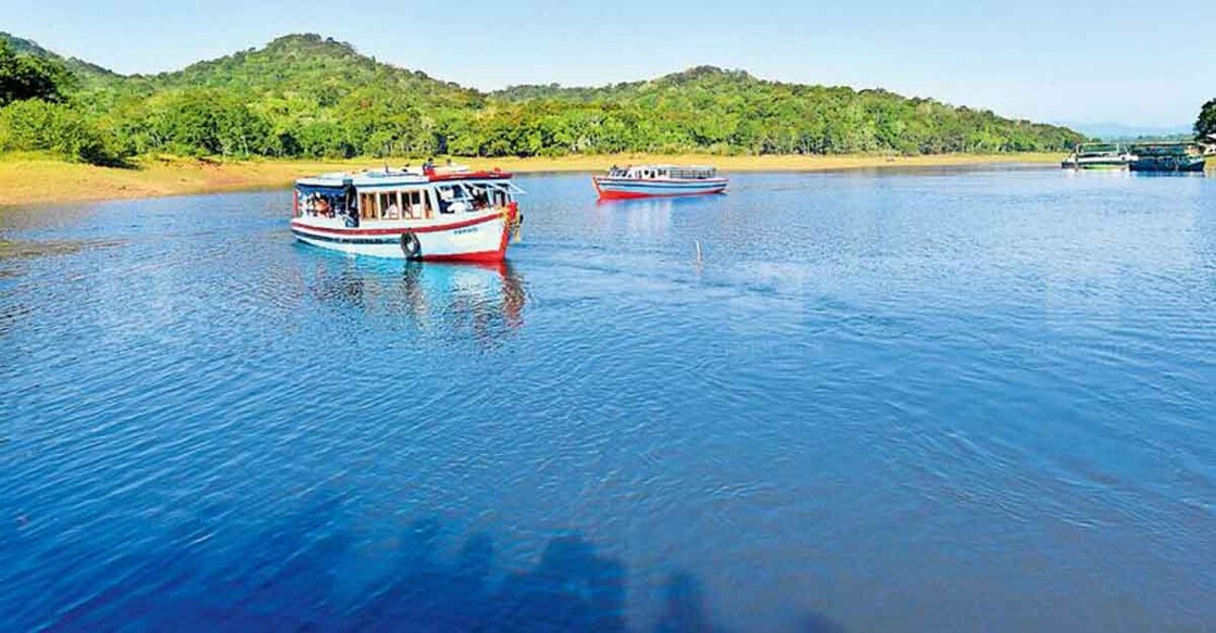 Thekkady, Kerala, India