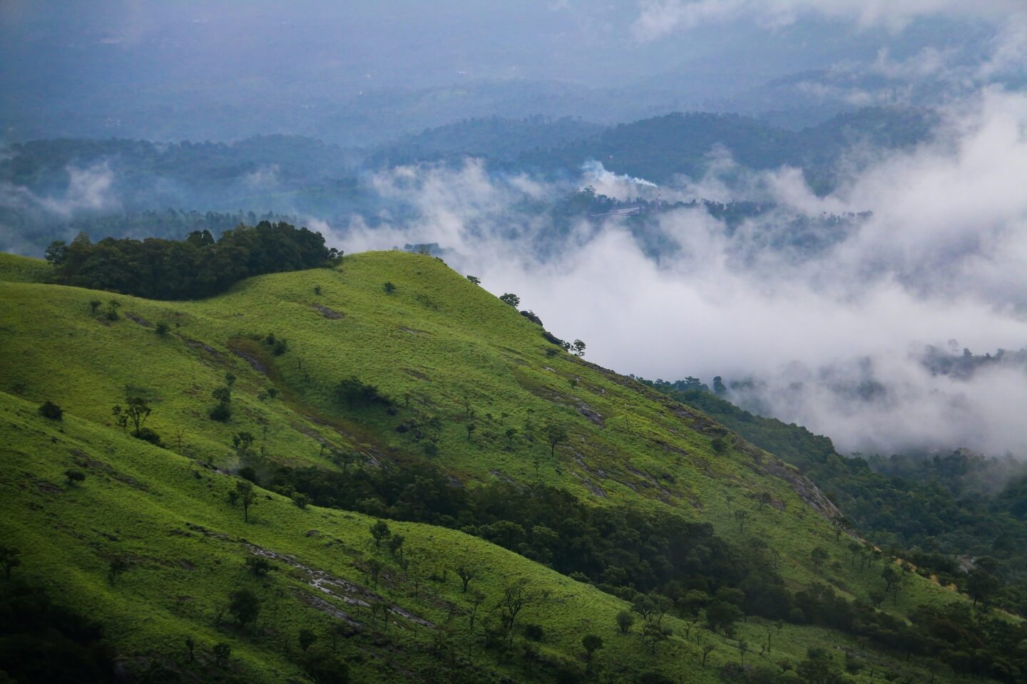 Wayanad, Kerala, India